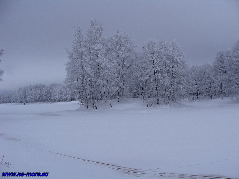 Зима на берегу Финского залива в Сестрорецке.
